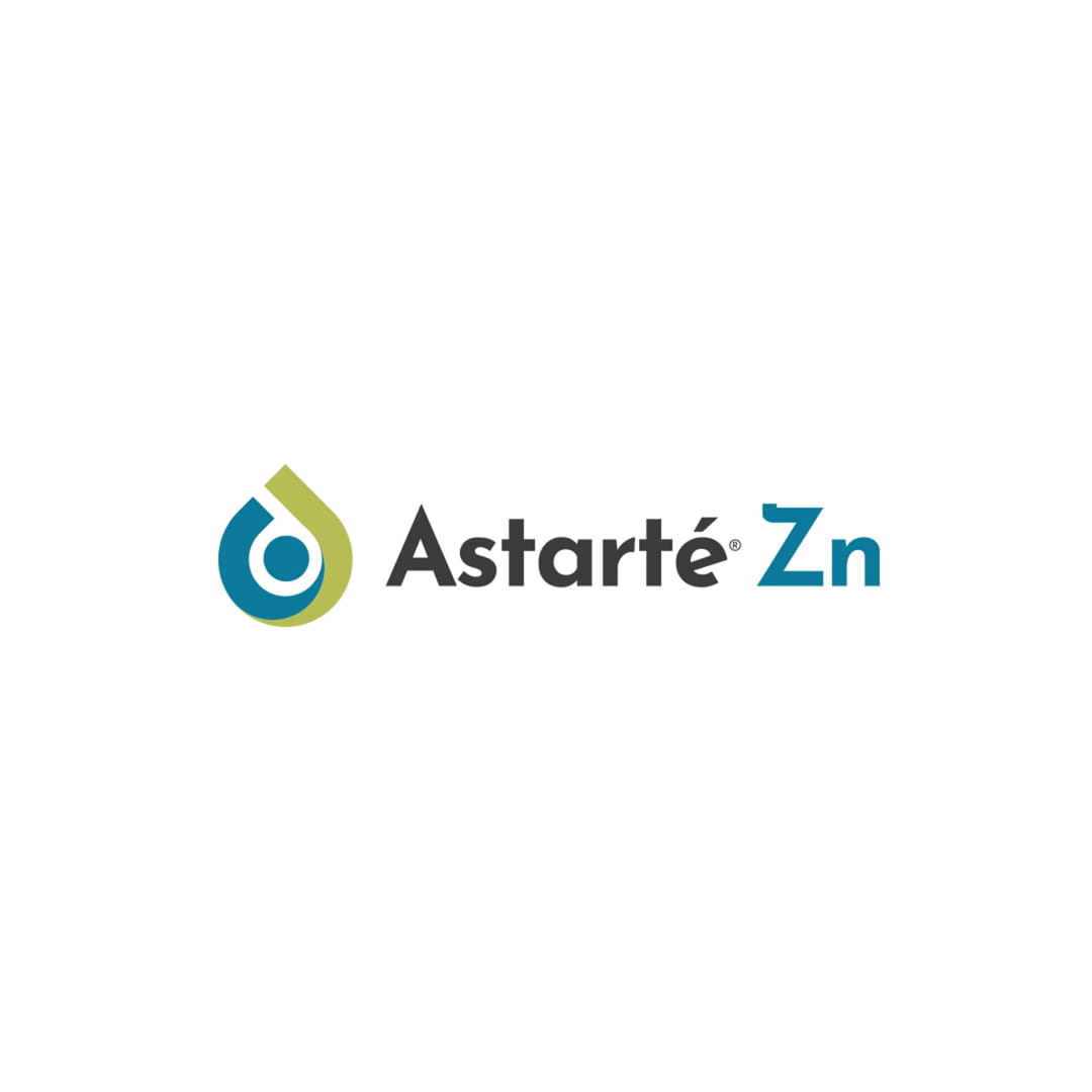 astarte-zn